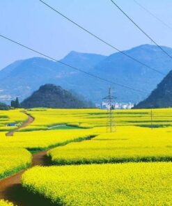 HÀ NỘI – HÀ KHẨU – LÔ TÂY – LA BÌNH – CÔN MINH – KIẾN THỦY