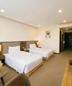 Mường Thanh Điện Biên - Deluxe Twin
