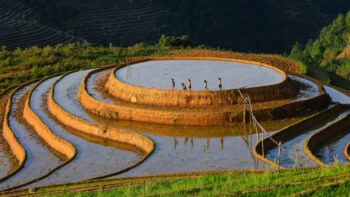 Mù Cang Chải - Trạm Tấu 3 ngày 2 đêm