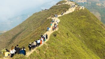 sống lưng khủng long Tà Xùa