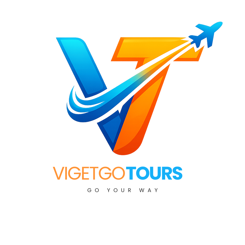VIGETGO LOGO