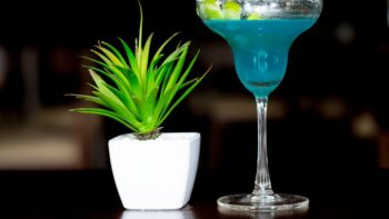 Muong Thanh Luxury Ninh Binh Ngo Dong Bar